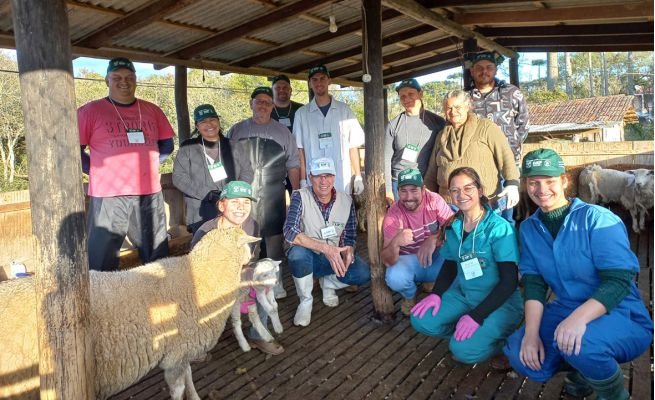 Curso De Cria O E Manejo De Ovinos De Corte Foi Realizado Em Contenda