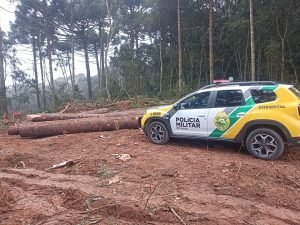 Polícia Ambiental realiza prisões e apreensões em Contenda